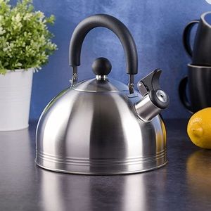 Stainless Steel Whistling Tea Kettle